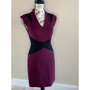 Antonio Melani Sheath Dress